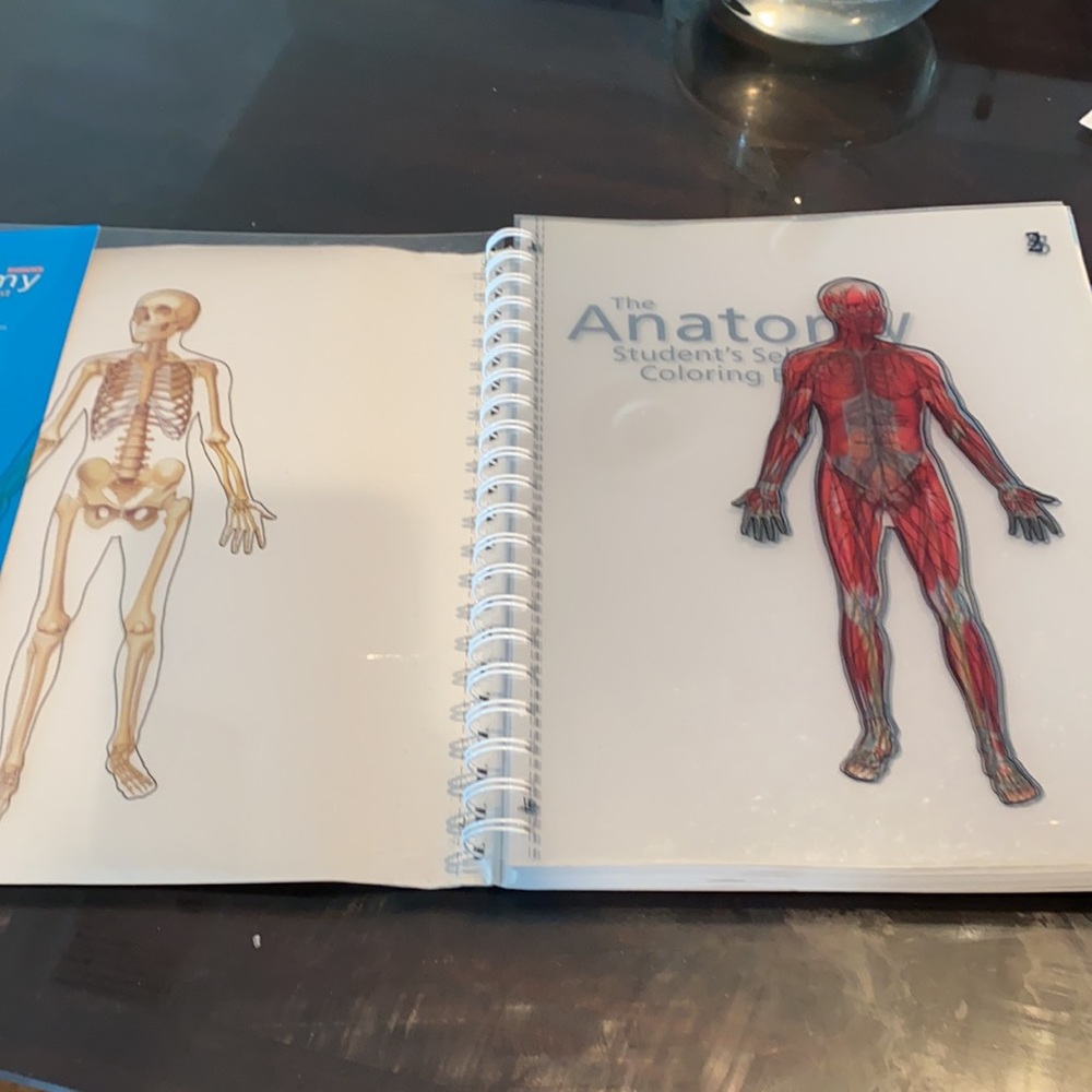 Anatomy practice book - Picture 4 of 13